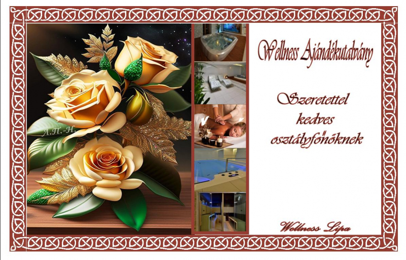 Poukážky a permanentky Poukážky a permanentky